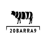20barra9